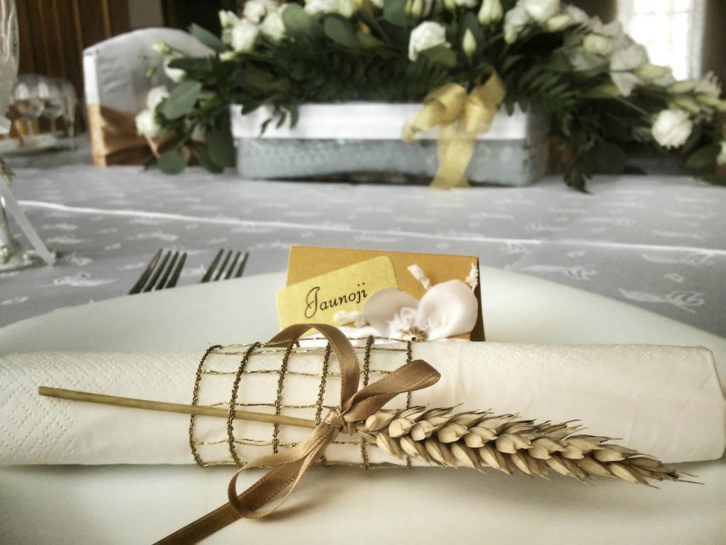 Hotel Plinksiu Plinkšės Esterno foto